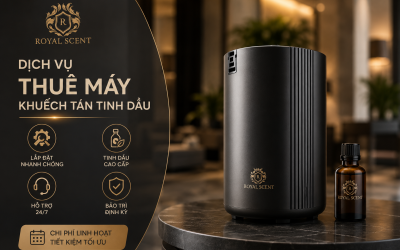 Dịch vụ cho thuê máy khuếch tán tinh dầu