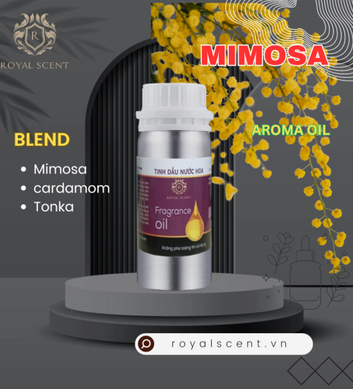 tinh dầu mimosa