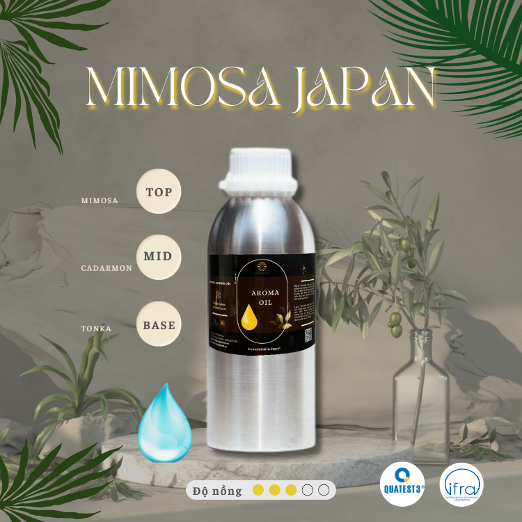 Tinh dầu mimosa japan