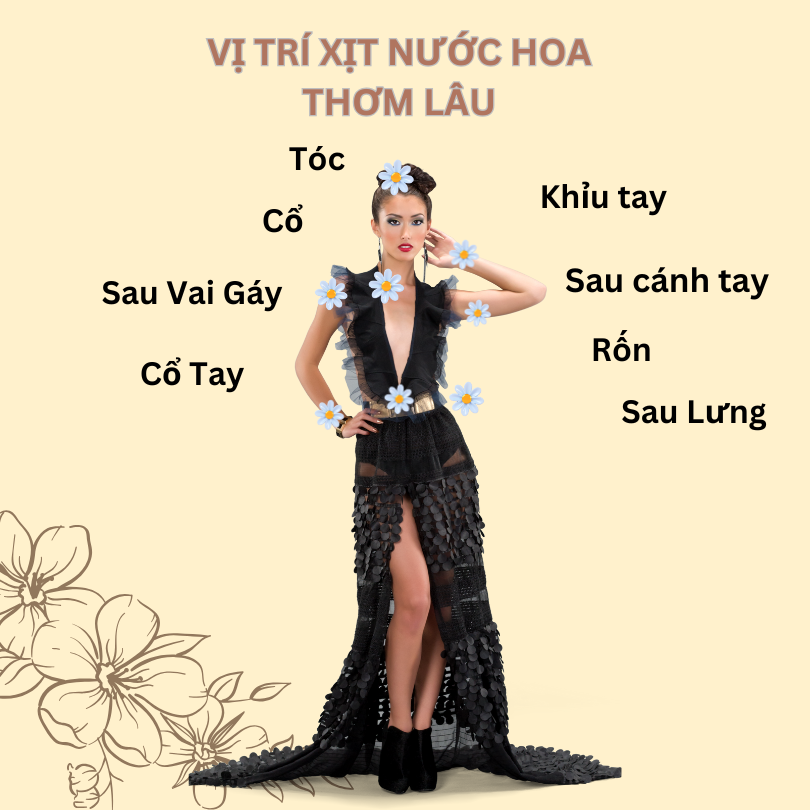 vị trí xịt nước hoa thơm lâu - Nước hoa lưu hương Royal Scent