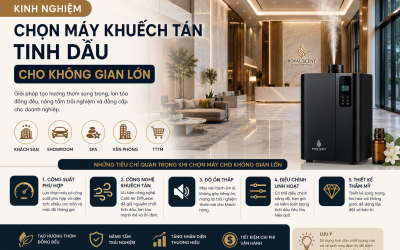 Kinh Nghiệm Chọn Máy Khuếch Tán Tinh Dầu Cho Không Gian Lớn