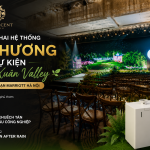 dự án hệ thống mùi thơm sự kiện ra mắt dự án bất động sản