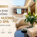 Triển Khai Hệ Thống Mùi Hương Cho Times Hospital Hà Nội – Từ Khảo Sát Đến Vận Hành